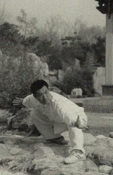 Bagua Zhang - image complémentaire 2