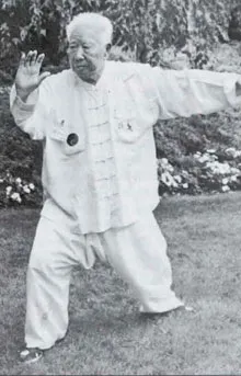 Style Yang - image complémentaire 2