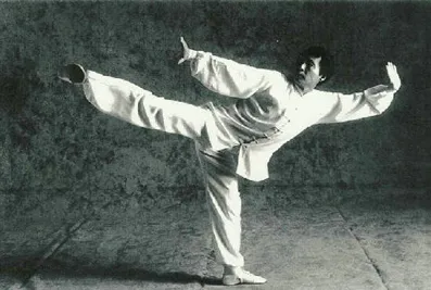 M. Jung Yung Hwan - Maître