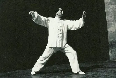 M. Jung Yung Hwan - Maître
