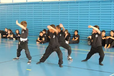 Passage De Grade Kung Fu CAMC 01 - Passage de grade