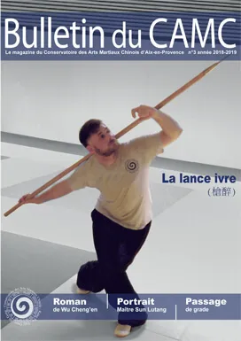 Revue n°13