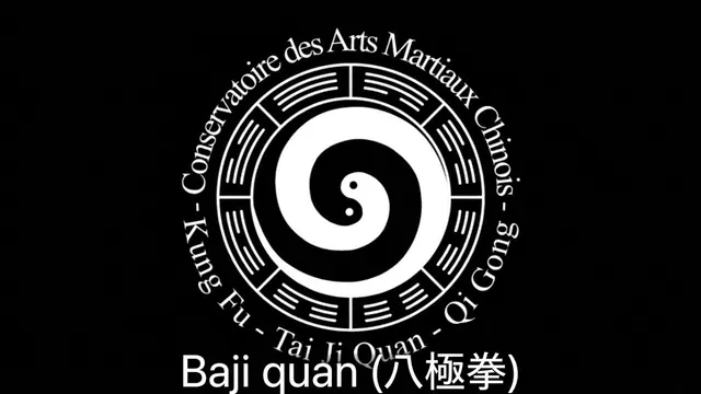 Video Baji Quan