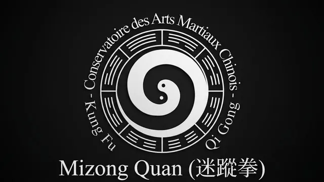 Video Mizong Quan
