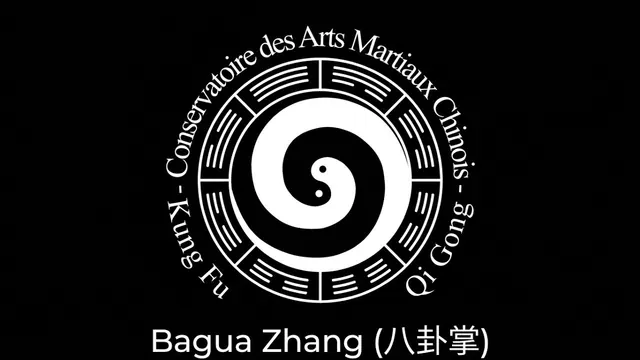 Video Bagua Zhang